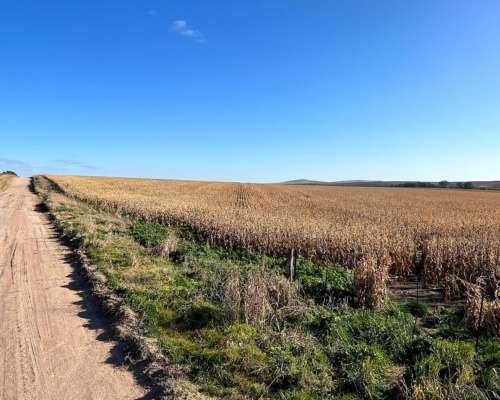 Tandil, Buenos Aires - 850 Ha
