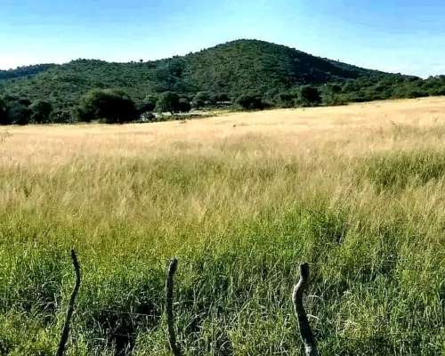 Campo Ganadero Dean Funes