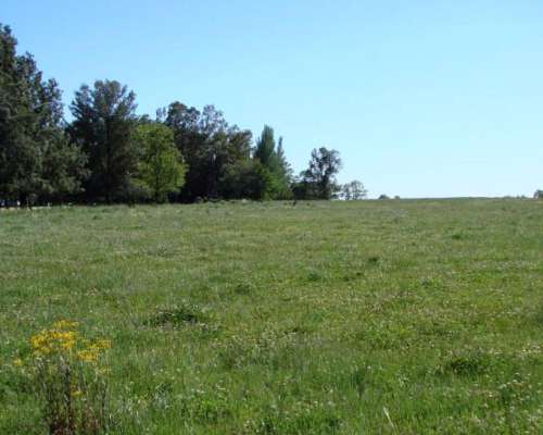 Ba3102 Venta Ganadero 220 Has Bragado, Buenos Aires