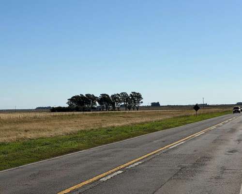 14 Has. Bajo Hondo S/ Ruta 3