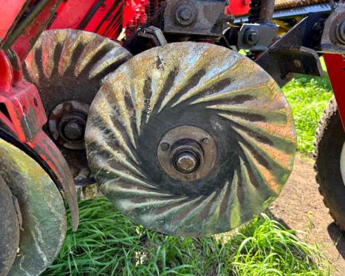 Crucianelli 48 a 20 con Cortes