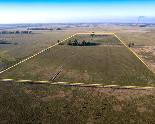 Campo en Venta en Marcos PAZ 48ha