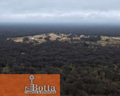 Campo Ganadero en Venta — 3.200 Has Rancul, la Pampa