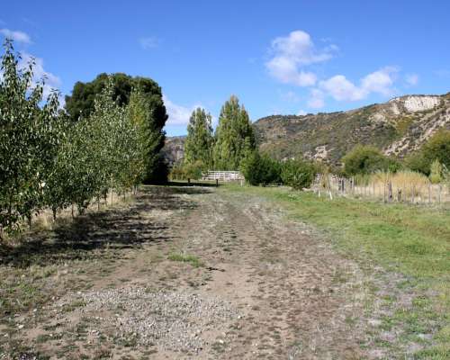 Campo Cholila Chubut 1600 Ha