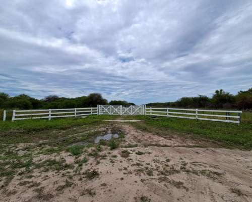 600 Has Ganaderas en Vera para Aprovechar
