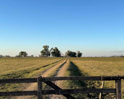 Campo en Venta en Marcos PAZ 48ha