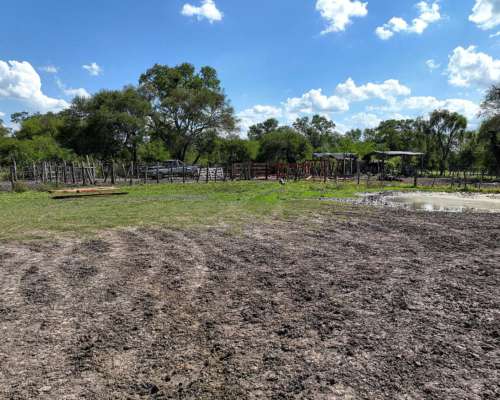 Pcia. de Chaco - Resistencia 1222 Has