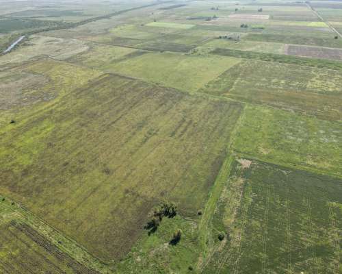 Venta. 174 Has Mixtas en Departamento San Jerónimo.