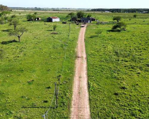 Vendo Campo 20 Has en Ruta 39 Concepción del Uruguay Entre R