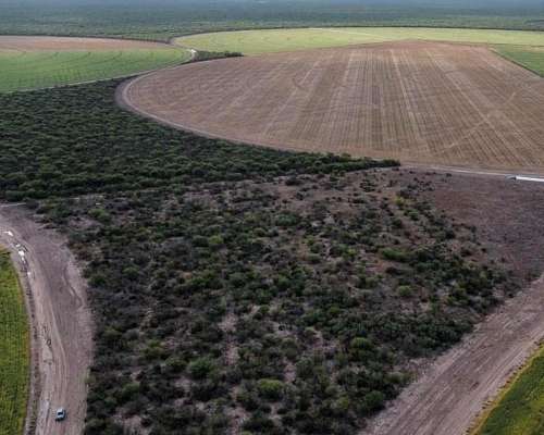 Los Cerrillos, Junín, San Luís - 1.870 Ha