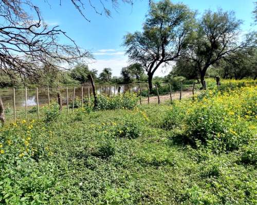 Vendo Campo de 800 Hectareas en la Prov. de San Luis