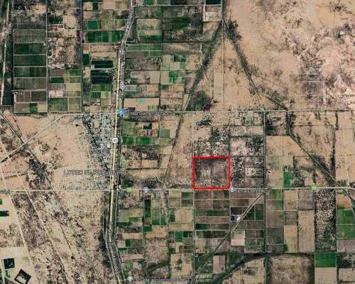 Finca Campo de 22ha en Jocolí, Mendoza.