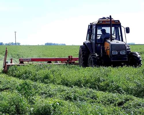 Cortahileradora Yomel HM 324 Cardánica