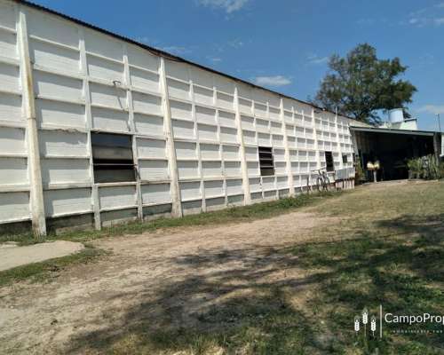 Venta Campo 4.273,7 Has para Siembra a 70 km al Este Tostado