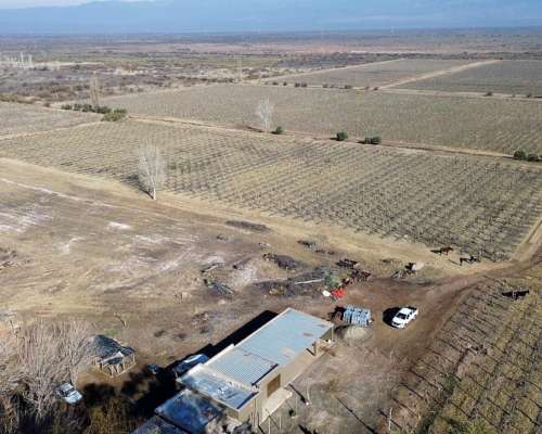 Finca de 60ha en Ruta N° 40 Capdevilla Derecho de Riego