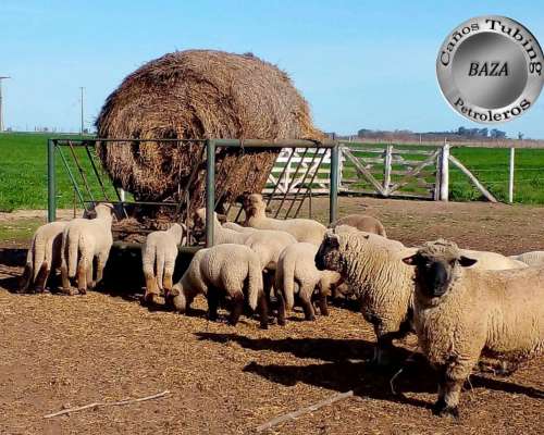 Pasteras Porta Rollos Moviles