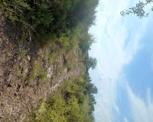 Vendo 56 Hectáreas. Colonia Dora