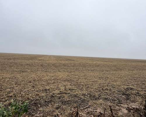 1000 Ha Agrícolas en Otumpa. Santiago del Estero.