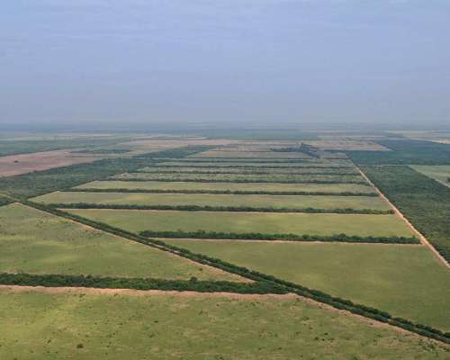 Pcia. de Santiago del Estero - Pozo Hondo 7032 Has