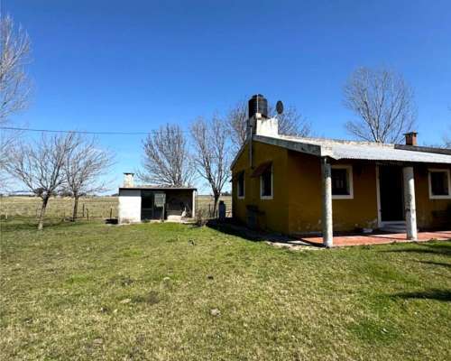 Campo Mixto de 50 Hectáreas