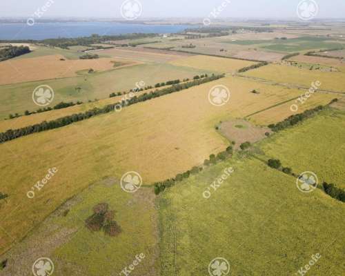 Campo en Venta 57 Has en Chascomús
