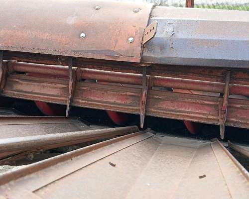 Girasolero Mainero 12 A52cm