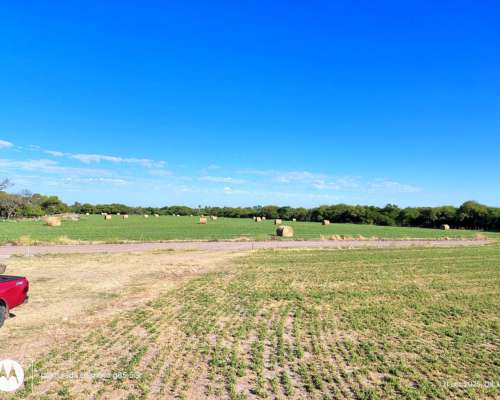 Campo Ganadero en Producción Federal E.r.