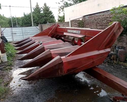 Maicero Vasalli de 6 a 70 cm