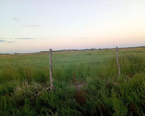 Las Catitas (mendoza) 298 Has/ Autopista