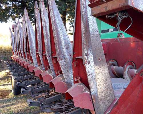 Maicero Maizco Mxiii 1310 de 13 a 52