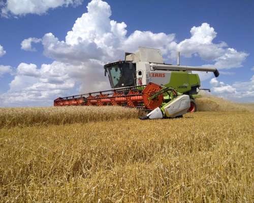 Claas Lexion 750.año 2011. 8500 Hs de Motor.