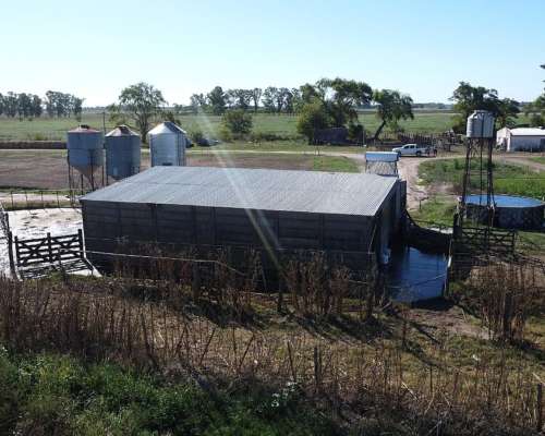 Fondo de Comercio: Tambo en Producción (monte, BS. As.)