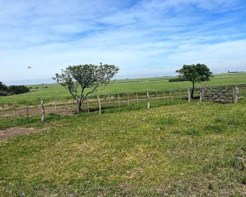 178 Has Agricolas Cultivos Soja Maíz Trigo Alfalfa