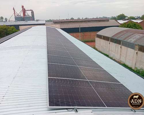 Energía Solar para Producción Animal - Bajá TUS Costos