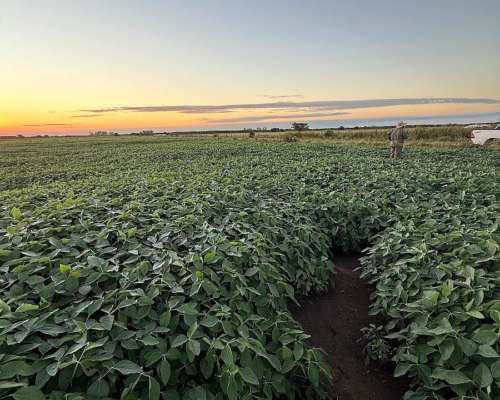 Dispongo de Campo para Capitalizar Hacienda en Ceres,sta FE