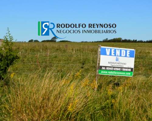 5.5 Hectáreas en Villa Elisa, ER. S/ Ruta 130