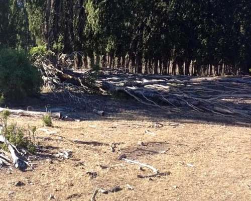 2.5 Ha Paraiso en Epuyen Chubut
