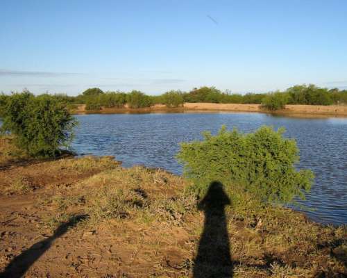 Campo en Venta Próximo a Lujan, San Luis (500 Has)