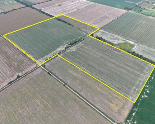 49 Ha Agrícolas en Esperanza. Suelo Clase 1/2.