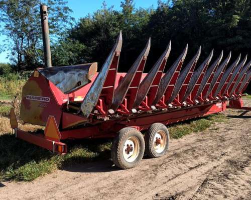 Maicero Mainero 2000 11 a 52 cm