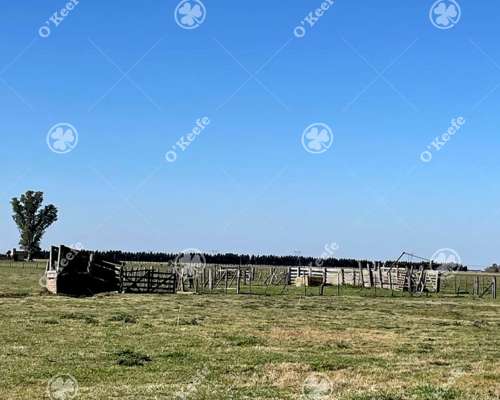 Campo en Venta de 1150 Has en Formosa. Cerca de Ruta Nac. 11