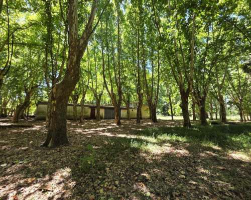 Espectacular Campo en Pilar