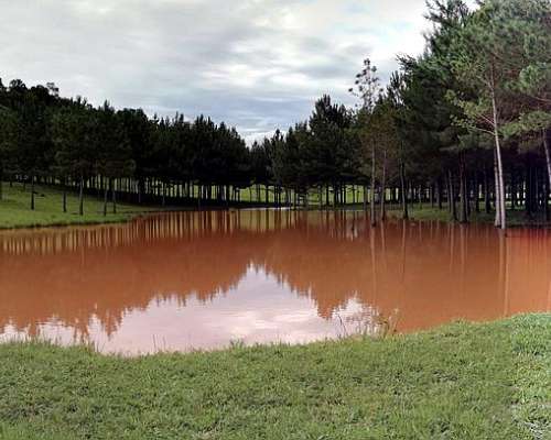 Gran Oportunidad - 504 Has en Misiones con Pinos de Regalo