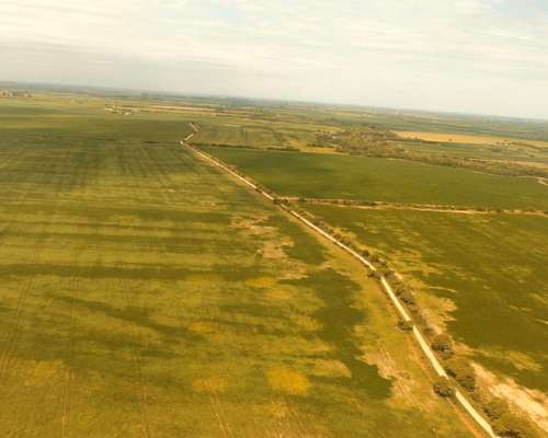 Campo en Venta en Rio Segundo, Córdoba