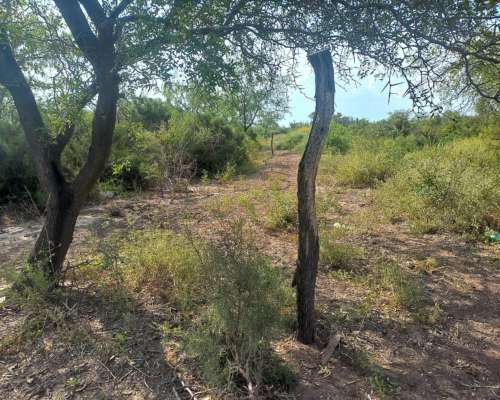 Vendo 56 Hectáreas. Colonia Dora