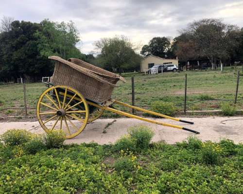 Carro Caballo Sulky Canastita