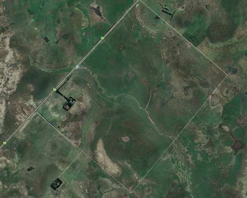 Castelli Buenos Aires Argentina