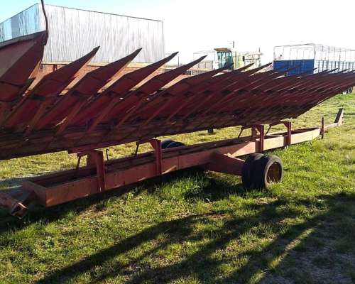 Girasolero Mainero 1035 10/70