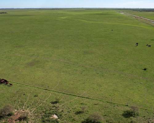 Ceibas, Gualeguaychú, Entre Ríos - 1.000 Ha