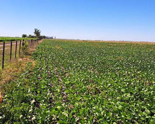 90 Ha Mixtas - los Quirquinchos - 64 Agricolas 26 Ganaderas